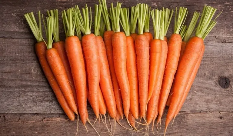 5 σημαντικά οφέλη που έχουν τα καρότα για την υγεία μας