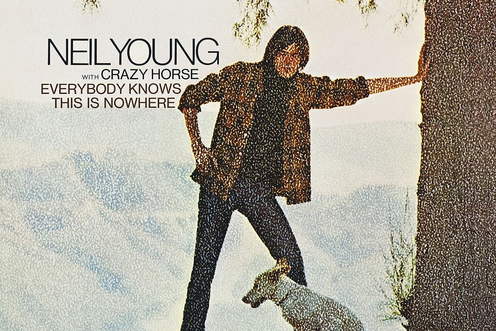 Neil Young Everybody Knows Album Image