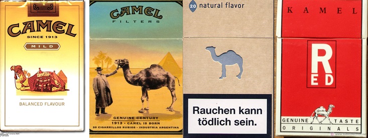 camel pic 2