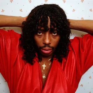 Rick James: Superfreak, αλλά τέλειος...