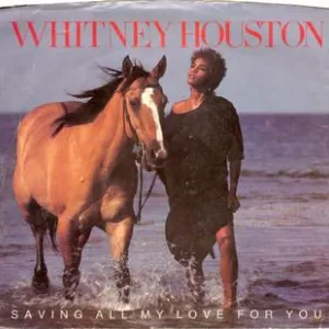 Saving All My Love For You-Whitney Houston