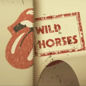 Wild Horses-The Rolling Stones