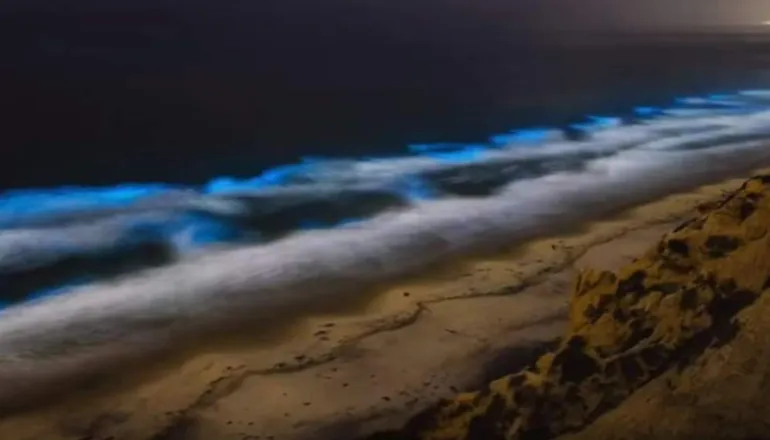 Το εντυπωσιακό φαινόμενο που δίνει στις ακτές της Καλιφόρνια μια απόκοσμη μπλε λάμψη