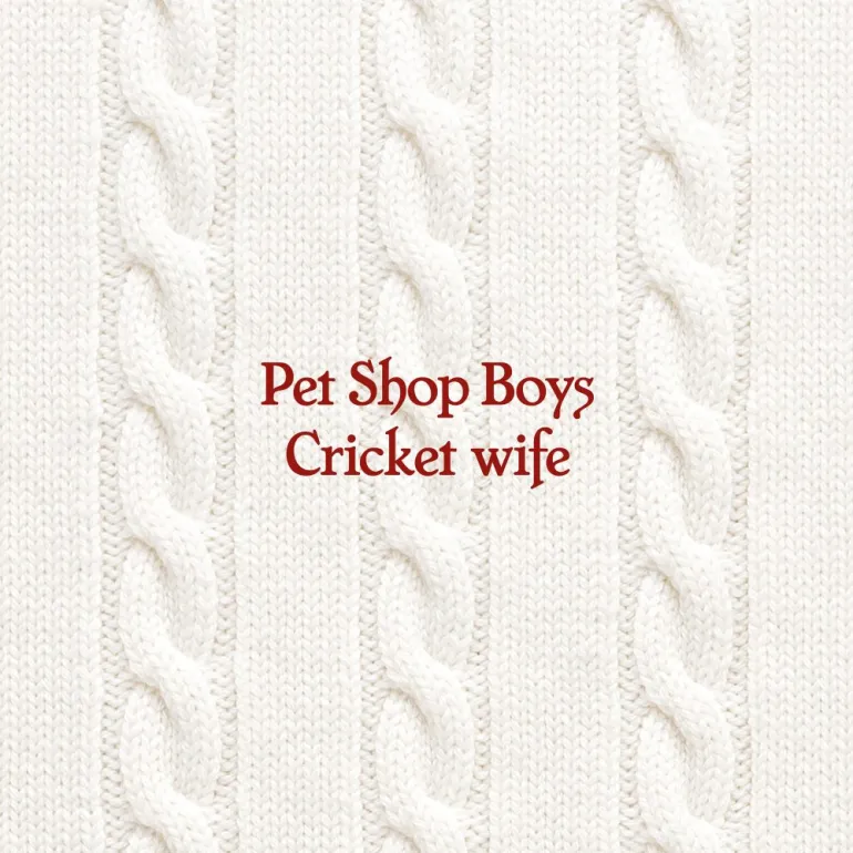 Pet Shop Boys – “Cricket Wife”