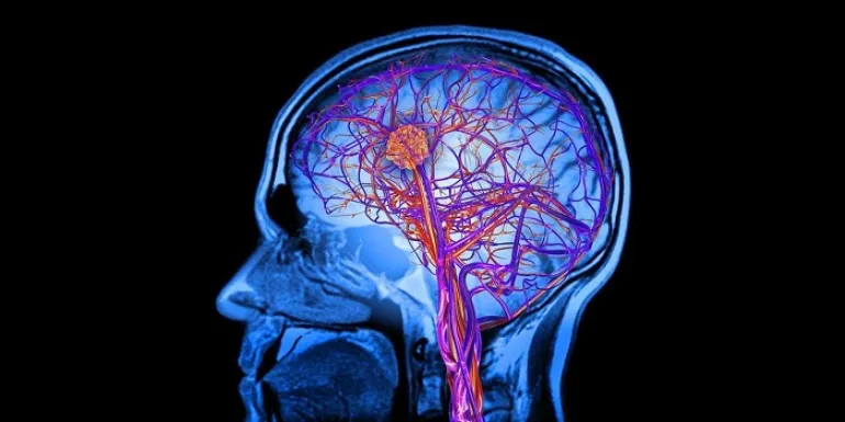 10 νέα πράγματα που μάθαμε για τον εγκέφαλο το 2018
