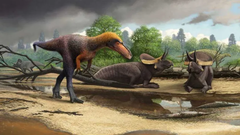Μικρομεσαίος πρόγονος του Τυραννόσαυρου ανακαλύφθηκε στις ΗΠΑ 