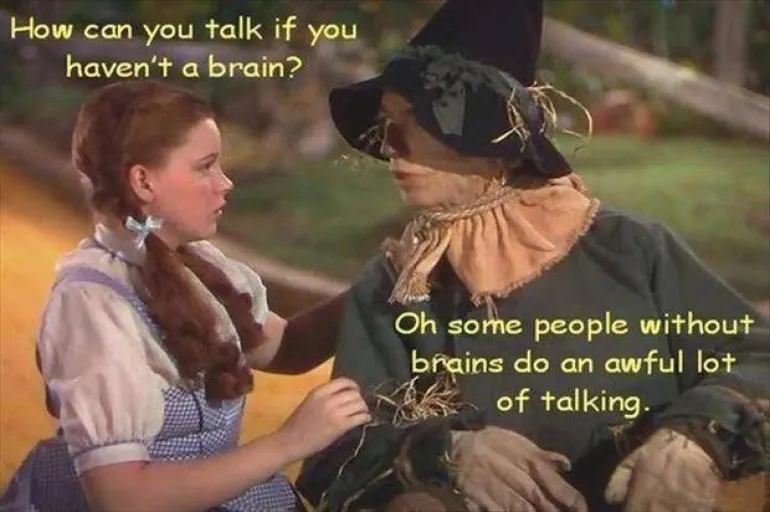 If I Only Had a Brain - The Wizard of Oz