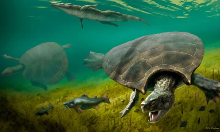 Νότια Αμερική: Ανακαλύφθηκαν απολιθώματα γιγάντιας χελώνας του γλυκού νερού, με μέγεθος αυτοκινήτου