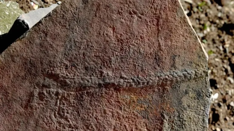Ανακαλύφθηκε απολίθωμα εντόμου πριν από 550 εκατ. χρόνια