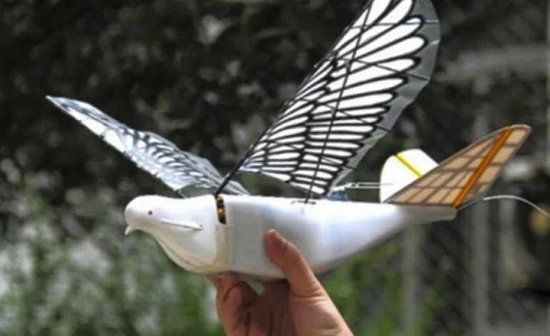 Περιστέρια-drones παρακολουθούν πολίτες στην Κίνα!