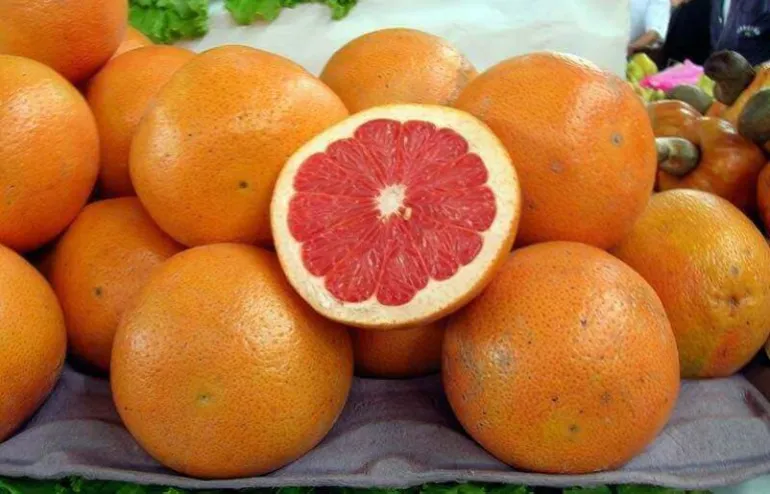 Αυτά είναι τα 6 καλύτερα φρούτα για να αποτοξινώσουμε το σώμα μας