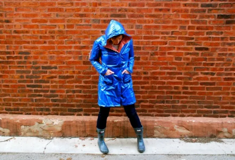 Famous Blue Raincoat-Joan Baez