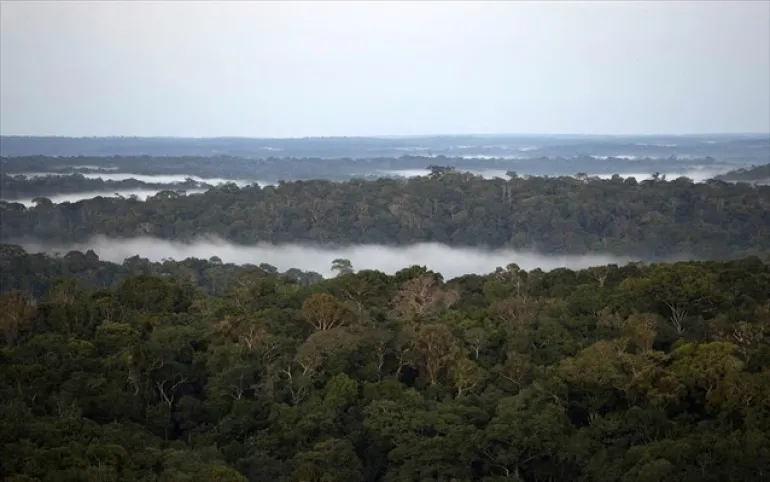 Κινδυνεύουν άμεσα 10 χιλιάδες είδη με εξαφάνιση στον Αμαζόνιο