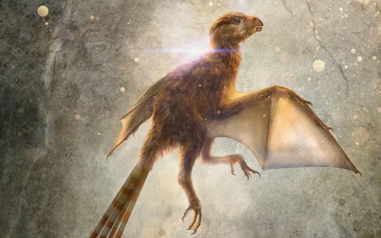 Δεινόσαυρος με φτερά νυχτερίδας ανακαλύφθηκε στη βορειοανατολική Κίνα