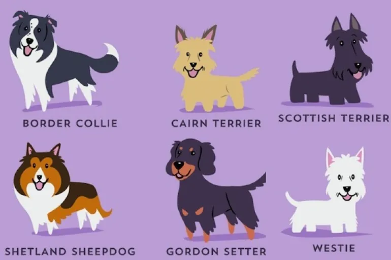192 σκυλάκια ανά τον κόσμο, πάνω σε χαριτωμένα illustrations...