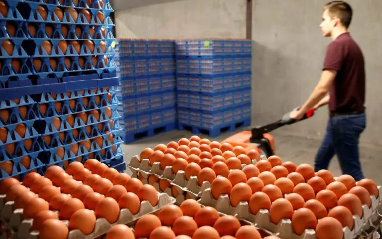 Αλίμονο μας: «Πόλεμος» μεταξύ Ολλανδίας και Βελγίου για τα μολυσμένα αυγά