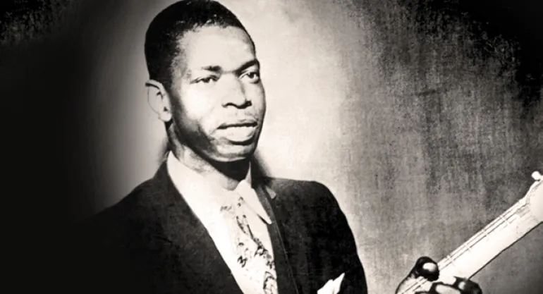 Dust My Broom-Elmore James