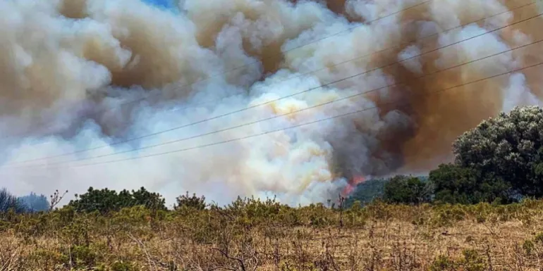 Ανεξέλεγκτη φωτιά στην Εύβοια: Εκκενώθηκε οικισμός