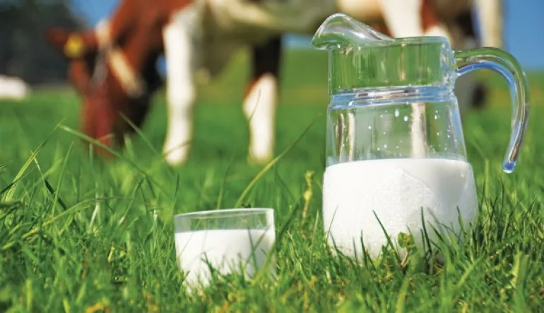 Μύθοι και αλήθειες για το γάλα - Γιατί πρέπει να το αφαιρέσουμε από την διατροφή μας 