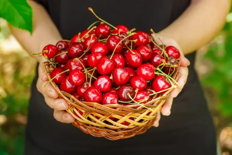 Το υπέροχο κόκκινο φρούτο που ρυθμίζει ουρικό οξύ και τριγλυκερίδια