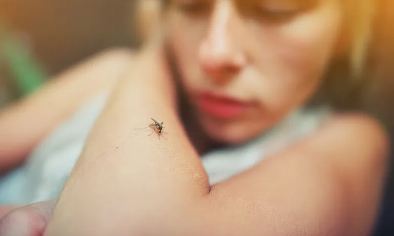 Τσίμπημα από κουνούπι: Γιατί δεν πρέπει να ξύνουμε το σημείο