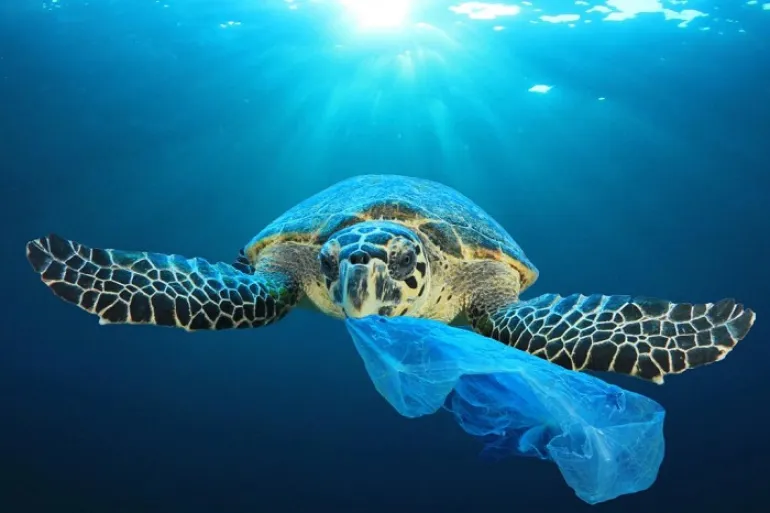 Το 50% των απορριμμάτων στις ελληνικές θάλασσες είναι κουτιά αλουμινίου, πλαστικά μπουκάλια και σακούλες