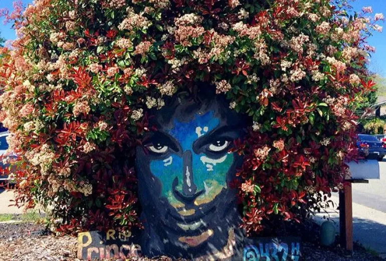 Ένα υπέροχο «μνημείο» για τον Prince στο Σακραμέντο...
