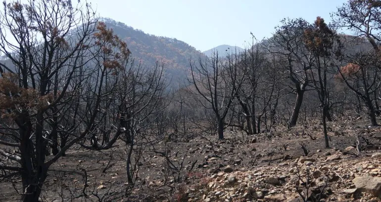 Η χώρα θα βγει από το τέλμα μόνο από ένα κόμμα και πρωθυπουργό που δεν θα σκέφτεται το πολιτικό κόστος