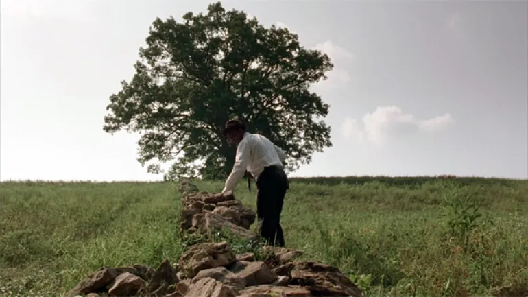 Το δέντρο από την ταινία 'Τελευταία έξοδος: Ρίτα Χέιγουορθ' αφαιρέθηκε και θα γίνει τραπέζι...