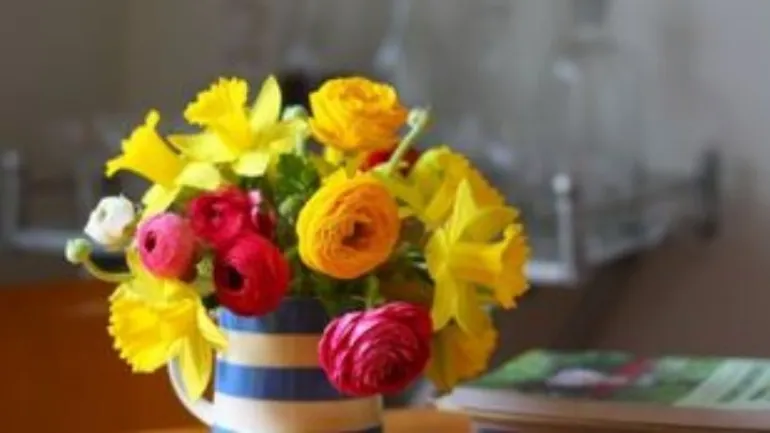 Τα λουλούδια στο σπίτι μειώνουν τα επίπεδα πόνου και στρες
