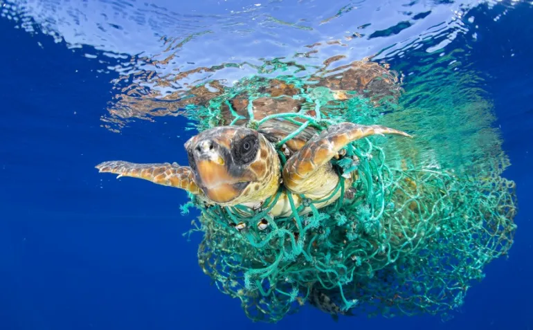 WWF: Απροστάτευτη θάλασσα η Μεσόγειος - SOS για το περιβάλλον