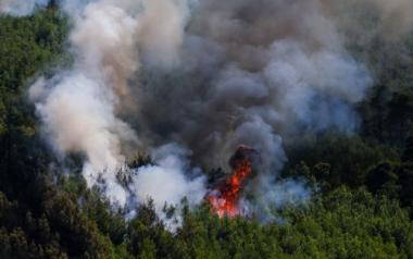 Φωτιά στα Βίλια: Σε απόσταση αναπνοής από Οινόη και Πανόραμα οι φλόγες