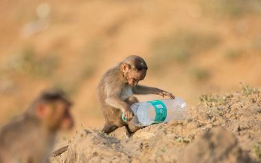 Σοκ στις εικόνες και στο εξώφυλλο του τελευταίου National Geographic