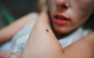 Κουνούπια: 7 λόγοι που τσιμπούν εσάς και όχι τον διπλανό σας