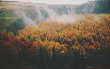 Το καλύτερο φάρμακο είναι η φύση!