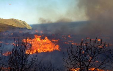 Κάηκαν σπίτια και εκκενώθηκαν κατασκηνώσεις στον Κάλαμο - 10 ενεργά μέτωπα στη Ζάκυνθο