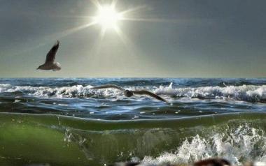 Ανδρέας Εμπειρίκος: Είπα την λέξη θάλασσα…