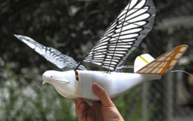 Περιστέρια-drones παρακολουθούν πολίτες στην Κίνα!