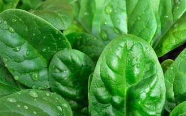 Τροφές που έχουν καθαρτική δράση για καλύτερη λειτουργία του εντέρου