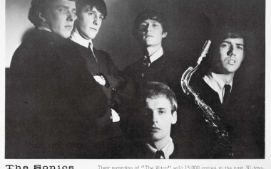 Have Love, Will Travel - The Sonics