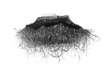 Εικονικό ταξίδι τον Σεπτέμβριο στη Στέγη: Απολαύστε ψηφιακά τη μαγεία ενός «Κήπου δεδομένων»