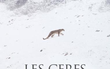 Nick Cave & Warren Ellis – “Les Cerfs”