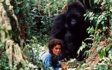 10 φιλμ για την ημέρα της Γης