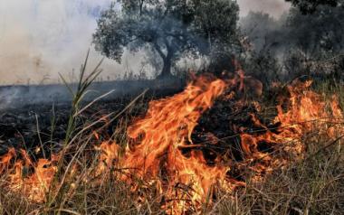 Μ. Χρυσοχοΐδης-Ν. Χαρδαλιάς: Παραμένουμε σε επιφυλακή - Ήταν μία πάρα πολύ δύσκολη φωτιά - Η πυρκαγιά είναι σε ύφεση