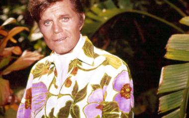 Μία κατηγορία από μόνα τους υπήρξαν τα λεγόμενα "TV themes"