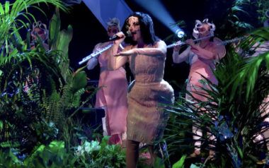 H Bjork στην τηλεόραση μετά από 8 χρόνια