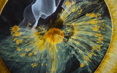 Το Voyage of Time: Life’s Journey του Terrence Malick έρχεται στη Στέγη...