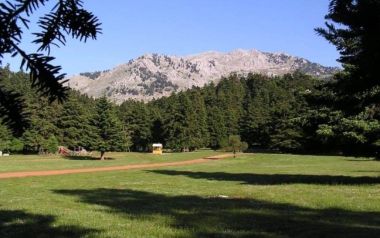 Κάντε μια βόλτα στην Αρβανίτσα να δείτε τι σημαίνει συναυλία σε ανοικτό χώρο 