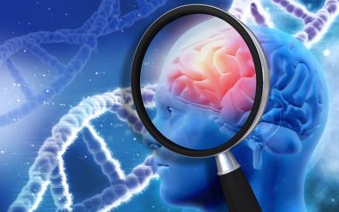 Το λαχανικό που επιβραδύνει την εξέλιξη του Αλτσχάιμερ