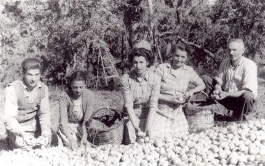 Ο αγροτικός Συνεταιρισμός Ζαγοράς Πηλίου είναι ένας από τους αρχαιότερους συνεταιρισμούς